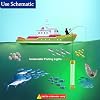 AGOOL Underwater Fishing Light 20W 16000 Lumens Green Fishing Light 12V 20ft Cord LED Submersible Fishing Bait Finder Deep Drop Night Fishing Light for Shrimp, Prawns, Squid Fish