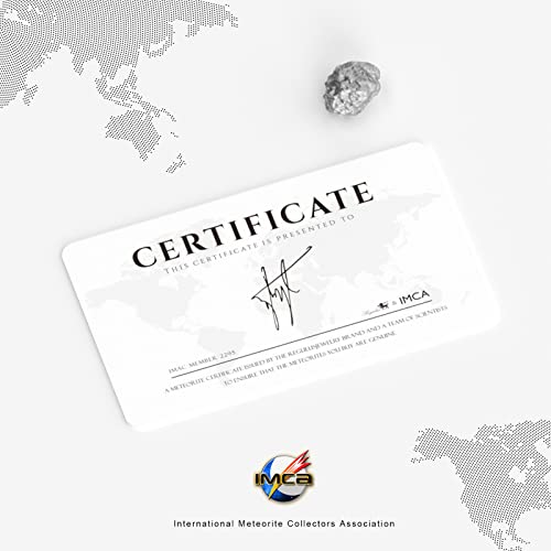 Regulus Meteorite Scented Candles Campo Del Cielo Candle 5.6 Oz 45 Hour Burn Amber Aromatherapy Candle Oriental Tune Candle Lion Jar Candle For Her Stress Relief (Gold) #TOP5