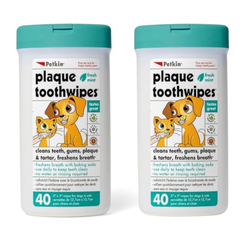 Image of Petkin Plaque Fresh Mint Toothwipes 80 Count Dog & Cat Dental Cleaning | Fresh Mint Dental Wipes