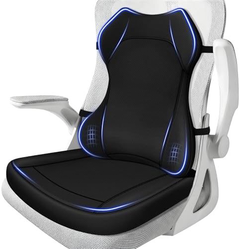 Seat Cushion,Lumbar Support Pillow for Office Chair,Ergonomic Mem...