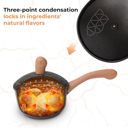 DEORS Bionic Turtle Design Nonstick Titanium Sauce Pan with Lid (2.8 qt), Non Toxic,PFAS & PFOA Free, Dishwasher Safe, Compatible with All Stovetops, Durable Cookware for Home Cooking