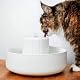 Katzenbrunnen aus Keramik von Lucybalu Trevi für Katzen
