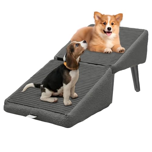 @\qLXebvAXvbg܂肽ݎybgX[vA2XebvJE`ybgKivA\t@p|[^uhbOXebvA\t@xbhAԁAq͂tbgXgXc[