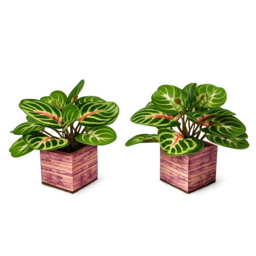 Image of DecoreBugs Artificial Real Touch Flower Plant with Pot (Pack of 2), 16 cm Height, Decorative Faux Floral Plant for Home, Office, Living Room, Bedroom, Table & Shelf Decor