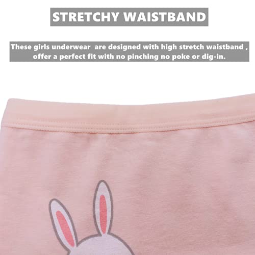 Czofnjesi Girls' Boyshort Toddler Briefs Cotton Underwear 5Pk Panties (4-6X, A) #TOP1