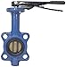 Dixon BBFVW200 Wafer Style Butterfly Valve, Buna Liner, Alum Bronze Disc, 2"