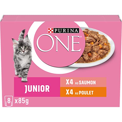 PURINA ONE Chat Kitten Effilés Sauce Saumon Poulet 8x85g
