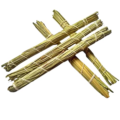 DEVAMA THE DIVINE Dharbha Kusha Grass for Pooja Karma (Pack of 1 Bundle Long Size Dry Grass)