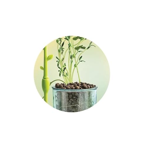 Clementoni | Science & Jeu : Mini Serre – Kit Botanique Enfant + | Serre à Assembler avec Pots Tourbe Graine | Jeu Éducatif Scientifique pour D écouvrir la Botanique | Ideé Cadeau - vue 5