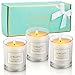 Produktbild LA BELLEFÉE Duftkerze Aromatherapie Kerze 100% Sojawachs im Glas Geschenkbox Geschenkpackung Rose Lavendel Jasmine 3 Stück