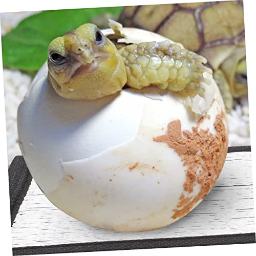 Set de 4 calentadores para reptiles con película reflectiva miniatura 4