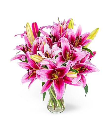 Lys observateur – Composition florale fraîche livrée à la main – Cadeau élégant avec expédition le lendemain – Idéal pour un anniversaire, un anniversaire, des condoléances, une célébration ou un
