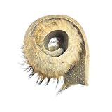 [Matériau Du Produit] Ce Produit Est Fait De Polyester, Qui Est Doux Et Durable, A Un Bon Effet Décoratif Et A Un Effet De Simulation Élevé. Il Convient À Divers Faits À La Main Et À La Décorationprojets Atifs.