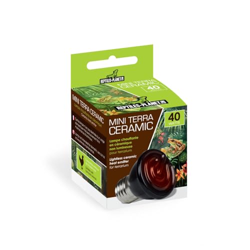 Reptiles Planet - Mini Terra Ceramique 40 W - Ampoule Chauffante pour Reptiles, Aucune, Blanc Chaud