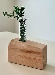 HS ART Wooden 1 Glass Test Tube Home Decor Planter Modern Flower Vase with Wood Stand Table Plant Holder