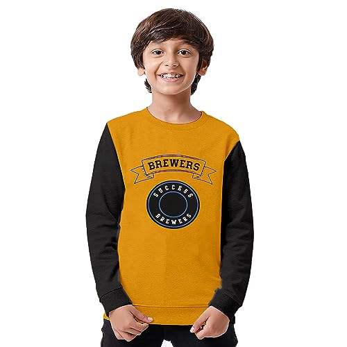 Image of Clotth Theory Boys Cotton Round Neck Full Sleeves Sweatshirt for Light Winters