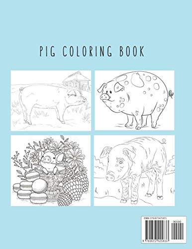 Pig Coloring Book: Pig Toy Gifts for Toddlers, Kids Ages 4-8 ,Girls 4-8, 8-12 or Adult Relaxation | Cute Easy and Relaxing Realistic Large Print Birthday Gifts image 4