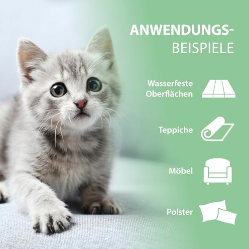 Katzenurin Spray 100 ml – gegen Katzenpipi, Uringeruch & Flecken unterwegs – Enzymreiniger biologisch & sicher – ideal für Sofa, Auto, Katzenklo, Reisen & Textilien – hygienisch & effektiv – PIPI-Weg