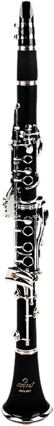 Clarinet Instrument Adult Beginner Grade Test Playing B Flat
