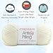 Premier Yarns Everyday Anti-Pilling Solid Aran DN100-68 (3-Skeins - Same Dye Lot) #4 Worsted Weight Acrylic Yarn for Crocheting and Knitting with Project Bag