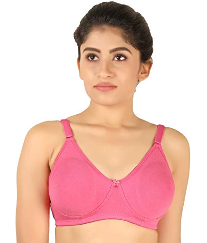 Tanishqa Women's Sherry Encircle Side Support Seamless Bra (Rose, 40 B)