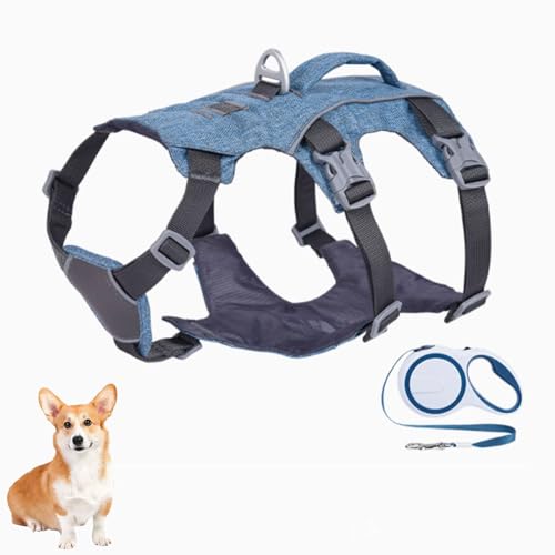 nhthpn[lXAˌpxXg _炩Sgqpn[lXA^^^̎UAg[jOp[Vt,u[,XS