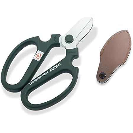 人気定番 園芸用品3点セット ハサミ 根切りスコップ ひざガード ガーデニング 初心者 ビギナーズセット 庭 花壇 花 野菜 栽培 送料無料 送料無料 園芸用品3点セット ハサミ 根切りスコップ ひざガード ガーデニング 初心者 ビギナーズセット 庭 花壇 花 野菜