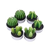 bougie ay cactus Bougies de spa : peuvent être rallumées plusieurs fois à votre convenance, bougies faites à la main