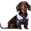 Top Gun: Maverick Pet Costume for For Dogs or Cats by Rubies, Large