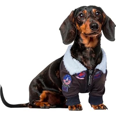 Top Gun: Maverick Pet Costume for For Dogs or Cats by Rubies, Large