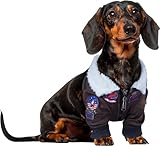 Top Gun: Maverick Pet Costume for For Dogs or Cats by Rubies, Small