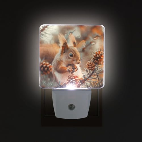 Image of Cute Squirrels Pine Cones Night Lights 2 Pack Plug-in Wall Led Nightlight Auto Dusk-to-Dawn Sensor Lamps for Bedroom Kitchen Bathroom
