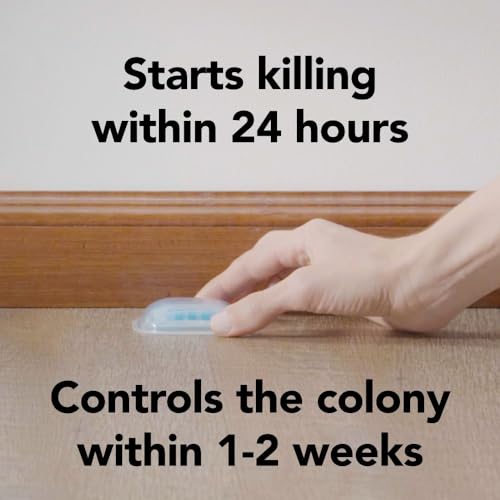 Raid Max Double Control Liquid Ant Killer Baits and Traps, Kills Ants Where They Breed, For Indoor Use, Child Resistant, 8 Bait Stations image 6