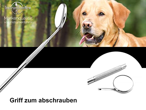 Hunde Mundspiegel mit Vergrößerung Zahnsteinentferner Zahnspiegel für Haustiere Zahnpflege aus Edelstahl Zahnreinigung Zahnpflege. Auch für Katzen Silber – Bild 3