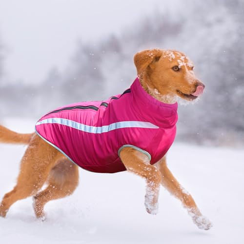 Hunde Winterjacke, Warme Hundejacke Mantel für Mittlere und Große Hunde Winter Wasserdicht Hundekleidung Reflektierende Fleece Welpen Outdoor-Mäntel für Labrador, Bulldogge, Samoye (4XL/53cm, Rosa)