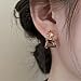 Small Brown Crystal Dangle Earrings for Women – Hypoallergenic Amber Drops, Lightweight Geometric Earrings for Sensitive Ears, Fashion Jewelry Gift for Birthday and Holidays