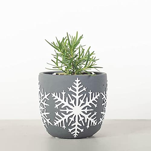 212 Main Gray with White Snowflake Planter