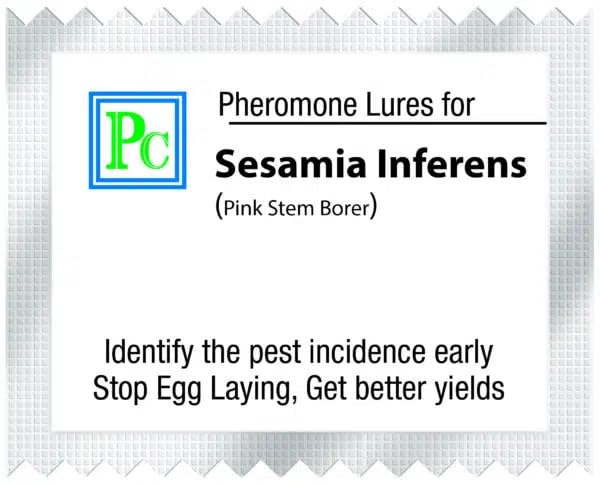 Replacement Lures for Sesamia inferens - 10 Pack (Lure Works for 30-45days)-picture-15
