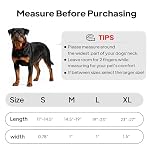 Dog Collar with Metal Buckle, Heavy Duty Dog Collar with Soft Neoprene Padded, Adjustable Reflective Nylon Dog Collars for Small Medium Large Dogs, Red,S - Image 6