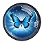 Blue Butterfly