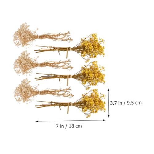Ramo de 6 flores secas naturales Babys Breath miniatura 3
