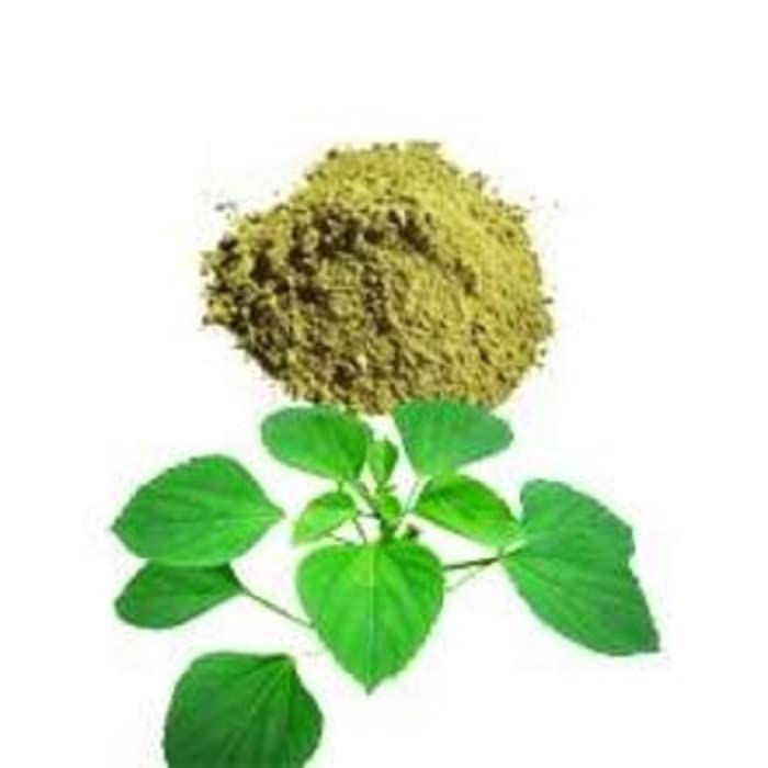 Dev Herbal Kuppaimeni | Acalypha Indica | Indian Nettle Extract Powder-300gm Pack. Pure Natural and Organic