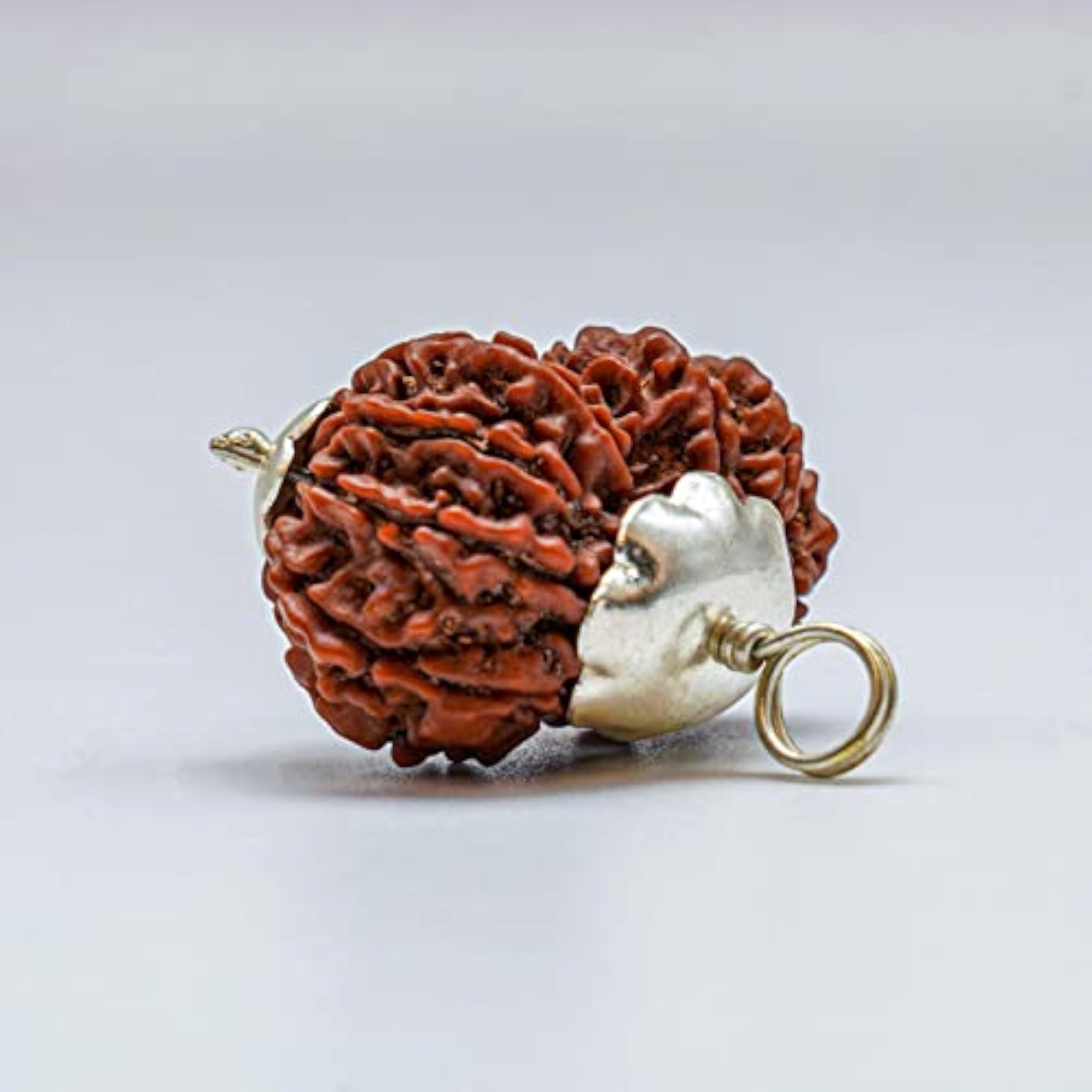 Gauri Shankar Rudraksha Bead, Original Certified