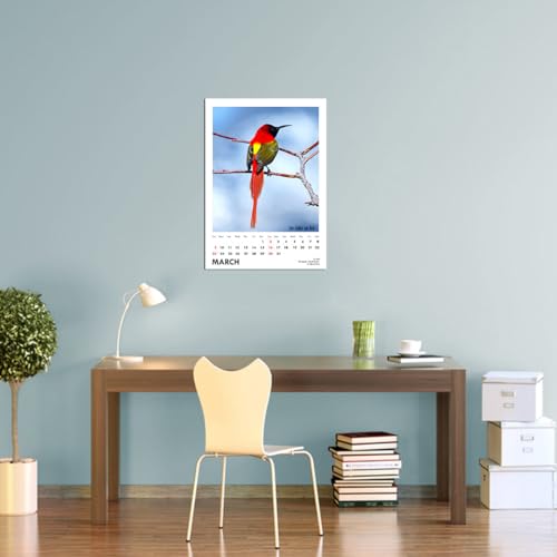 Image of Tallenge - New Year 2025 Wall Calendar - Winged Beauties, Birds - 12 x 17 Inches for Home & Office (Paper, Wall Calendar)