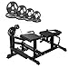RITFIT Leg Extension and Curl Machine with Olympic Rubber Grip Plates, All-in-One Home Training System for Full Body Workout