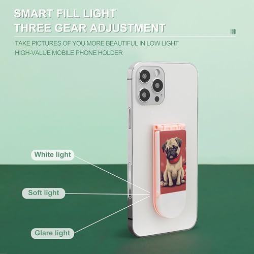 Support téléphone rechargeable avec lumière selfie carlin