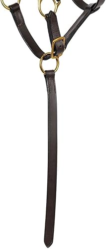 Miniatura 3 de Schneiders Premier 2 en 1 - Cabestro de potro para caballos  Ajuste universal para potros  Dos longitudes de corona  Correa de agarre rápida de