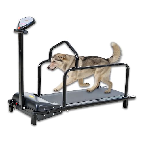 ByBoDi Cinta de Correr eléctrica para Perros Grandes y pequeños, con Valla de Seguridad, Motor silencioso y Velocidad Ajustable para Ejercicio en Interiores.