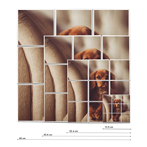 Carreaux céramique Cavalier King Charles pour salon chill