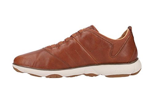 Image of Geox Men's Mnebula17 Fashion Sneaker | Casual Shoes